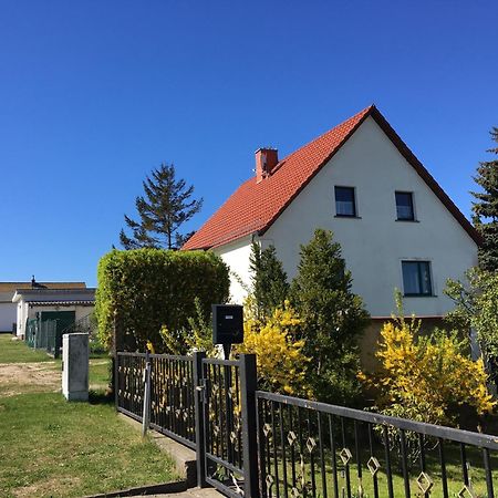 Ferienwohnung Chihuahua Thiessow Εξωτερικό φωτογραφία